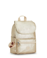 Ezra Metallic Backpack