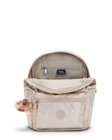 Ezra Metallic Backpack