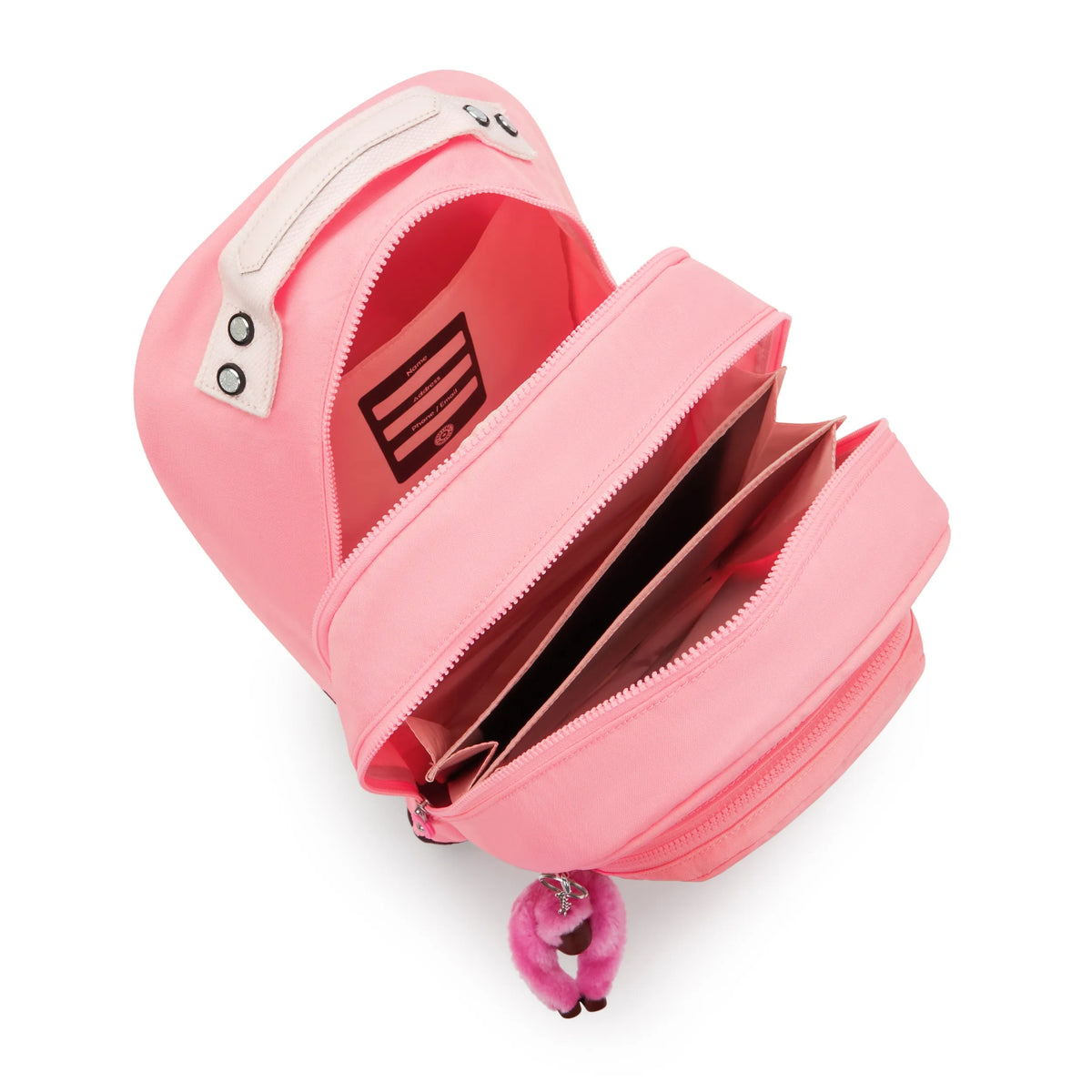 Class Room 17" Laptop Backpack Coral Sea - 3