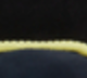 Black Pocket Print
