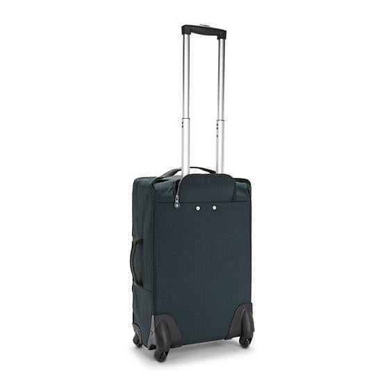 Darcey Small Carry-On Rolling Luggage