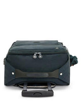 Darcey Small Carry-On Rolling Luggage
