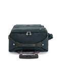 Darcey Small Carry-On Rolling Luggage