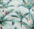 More Palm Trees