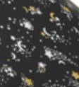 Stellar Showers