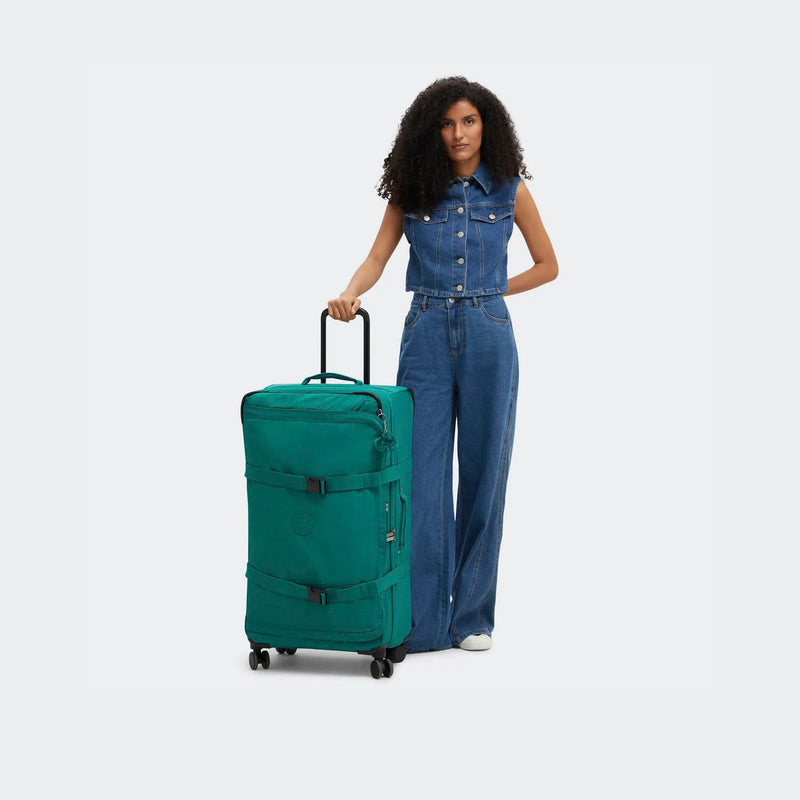 LARGE LUGGAGE