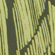 Sun Stripe Grasses